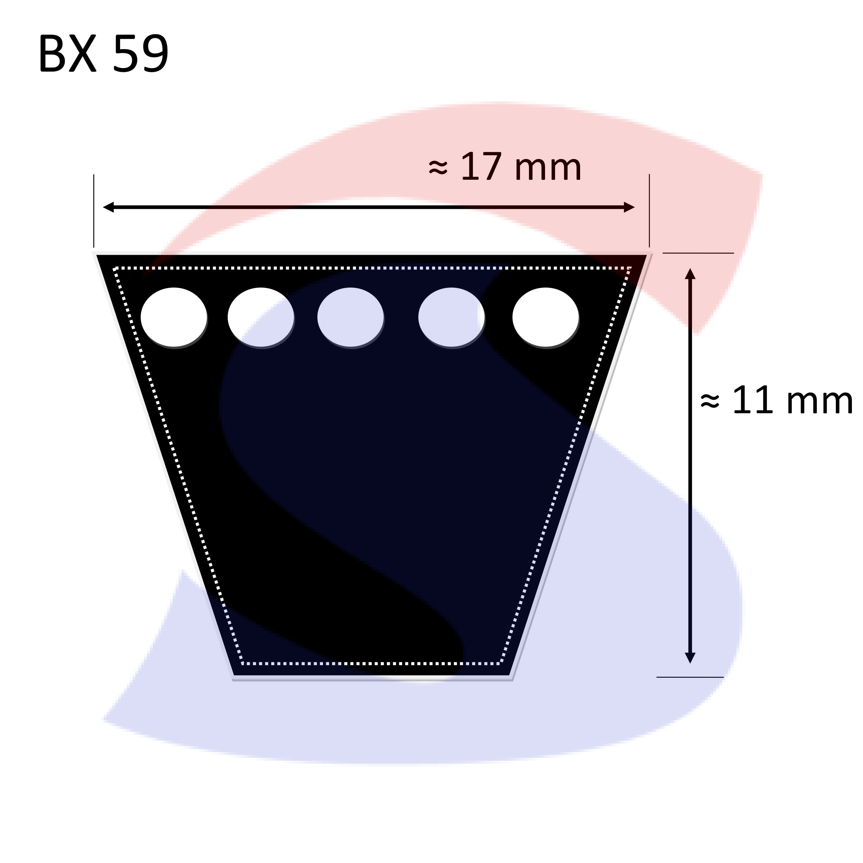 Cinghia PIBELT BX 59 - PIBELT BX59 - Spagnuolo S.R.L.