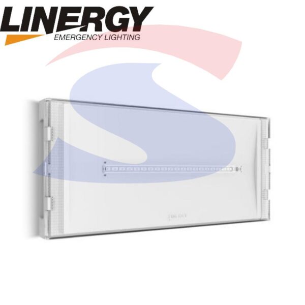 Lampade Di Emergenza Led.Lampada Di Emergenza Led 10 W Luce Fredda 6 000 Lince Si11n20ebr Spagnuolo S R L